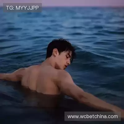 陶玺武